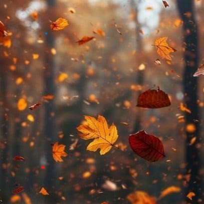 A Falling Leaf